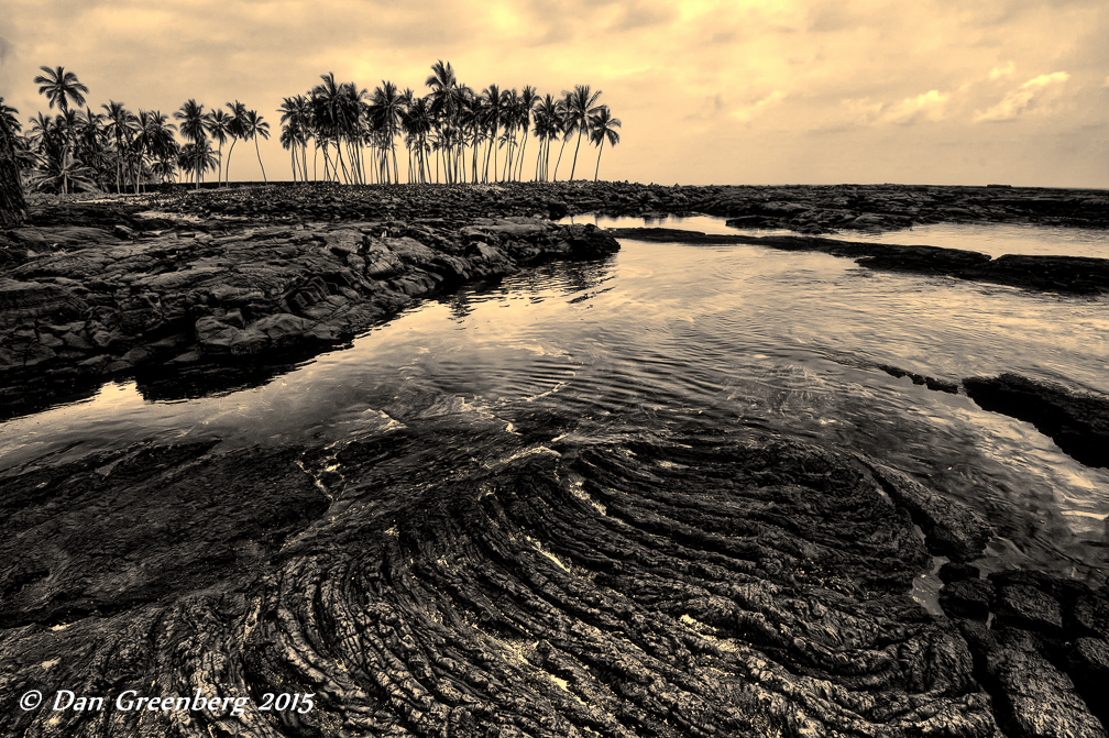 Tide Pools, Lava Shoreline