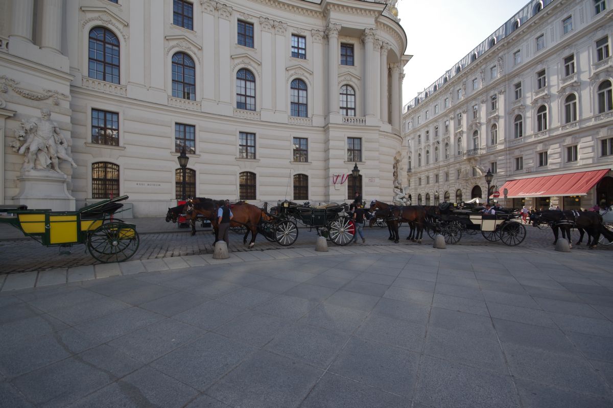 Vienna