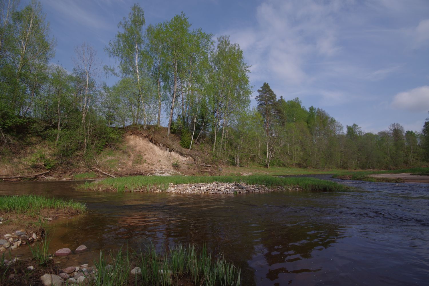 Ogre river near Ergli
