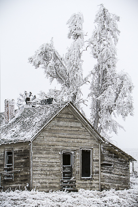 Windmill House and Tree_Lincoln County