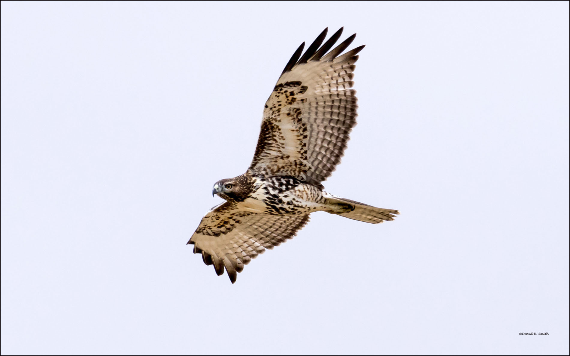 Red Tail, Lincoln County