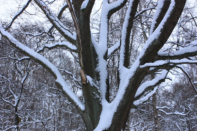 25 IMG_5570.JPG