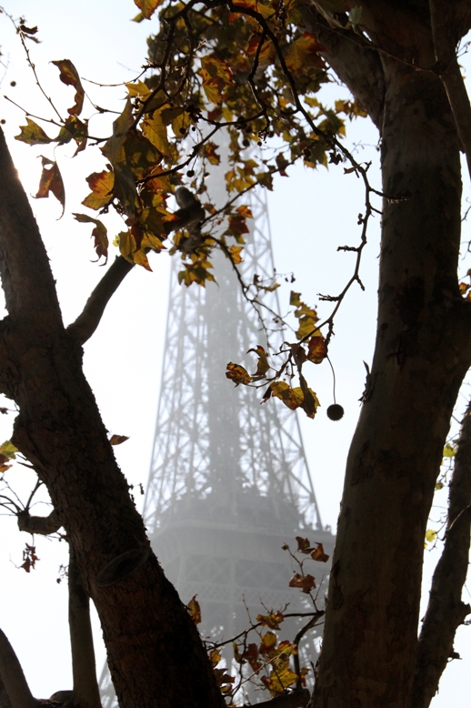 The Eiffel Tower