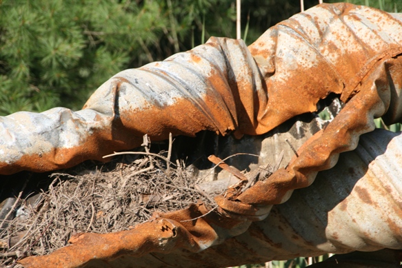 Culvert closeup