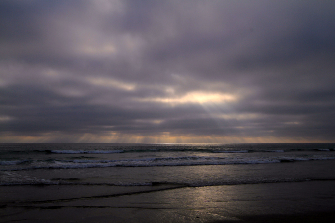 IMG_3832 copy.jpg
