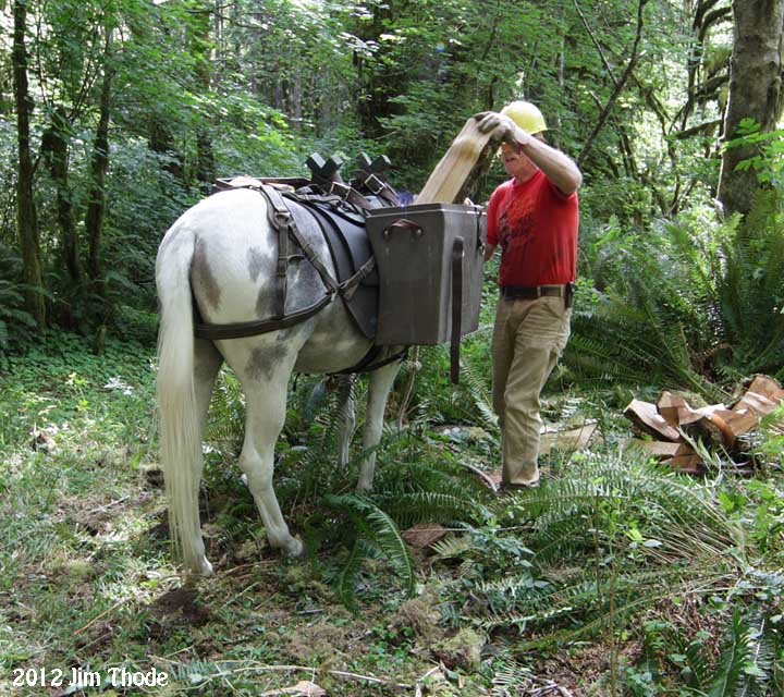 Hauling Firewood - Video