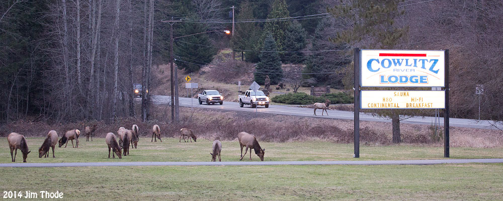 Packwood, WA