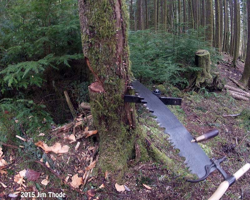 Using Underbucker to hold the saw into the cut. 