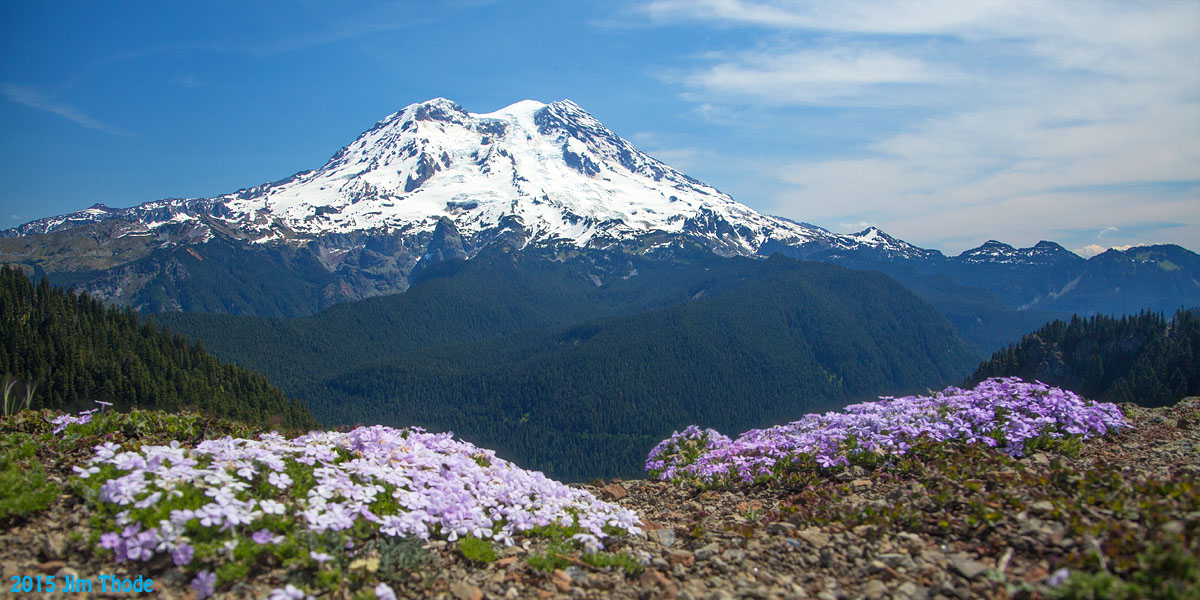 Mt Rainier from Glacier View