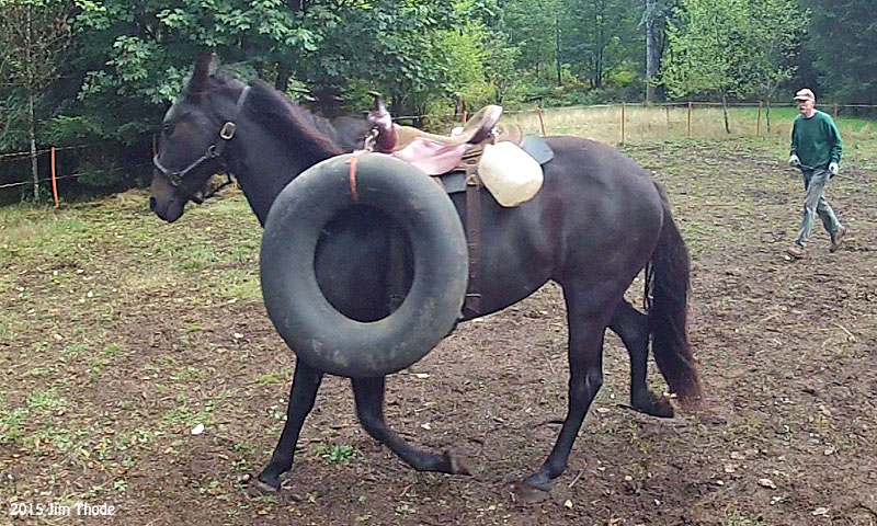 3rd day, getting used to saddle