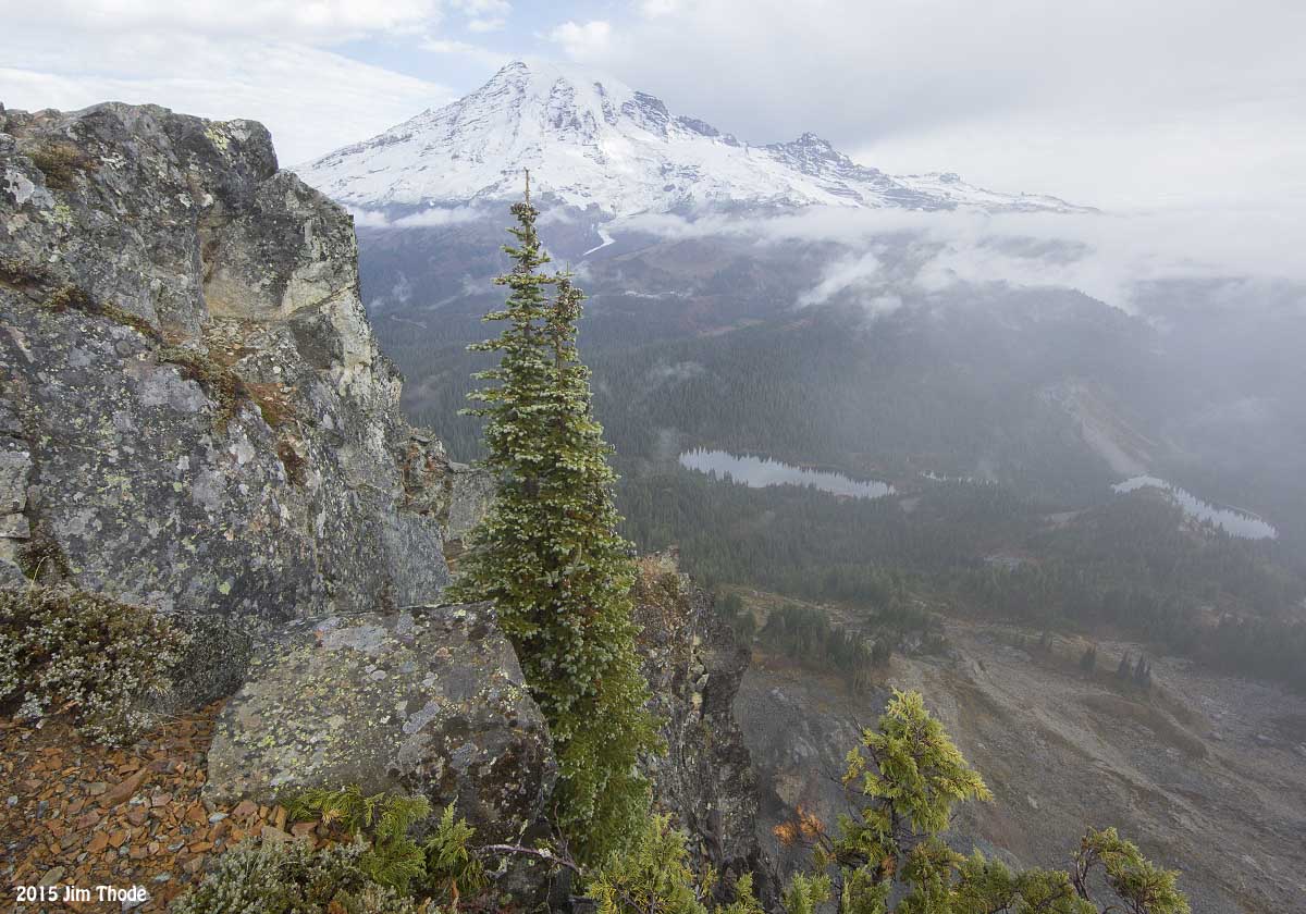 Mt Rainier 