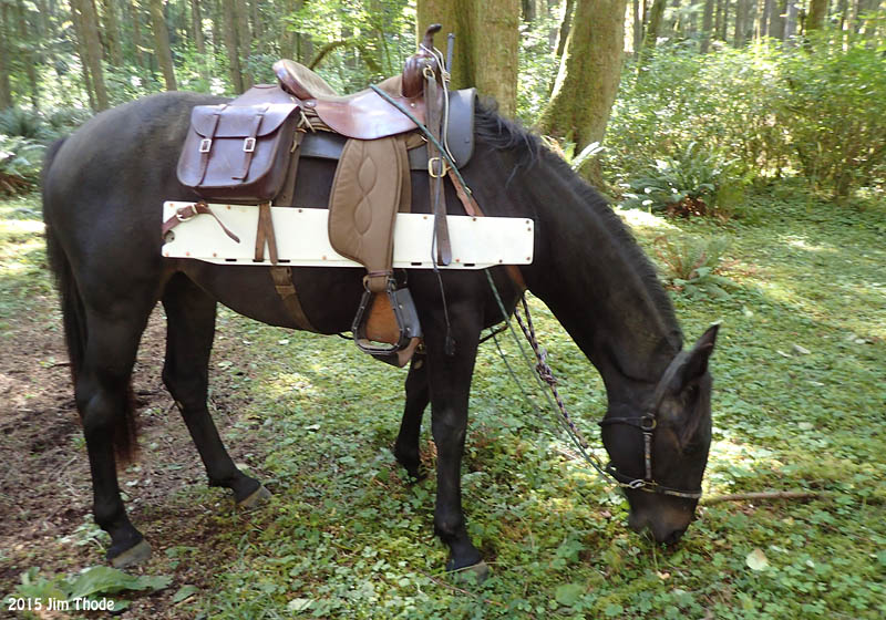 With trail clearing tools