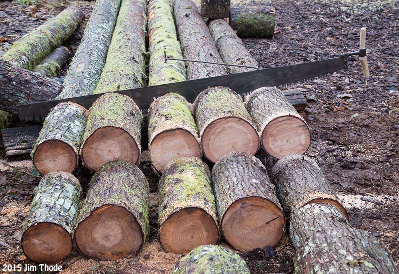 Cutting Firewood