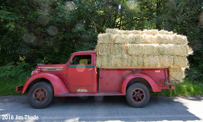 Hauling hay