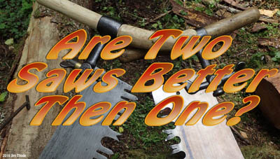 Are Two Saws better then one?  VIDEO
