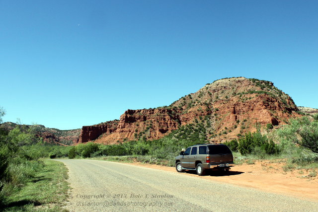 In The Canyon - IMG_8711.JPG