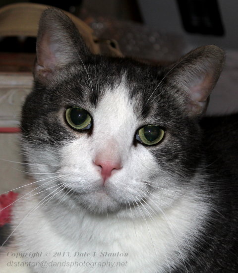 Buster - IMG_0014.JPG