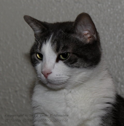 Buster - IMG_0045.JPG