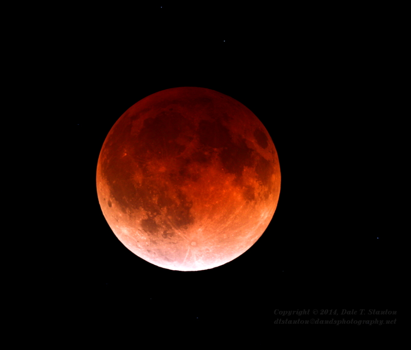 Total Eclipse of the Moon - IMG_5191.JPG