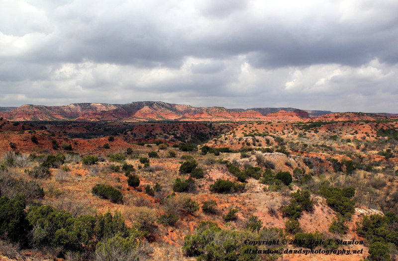 Caprock Canyons - IMG_5710.JPG