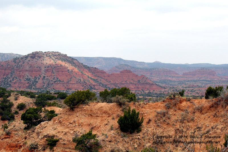 Caprock Canyons - IMG_5687.JPG