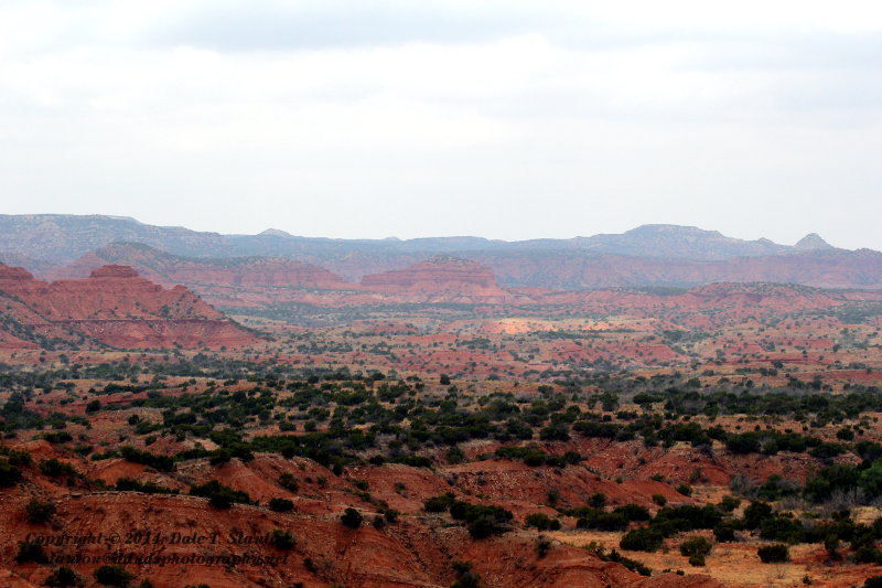 Caprock Canyons - IMG_5691.JPG