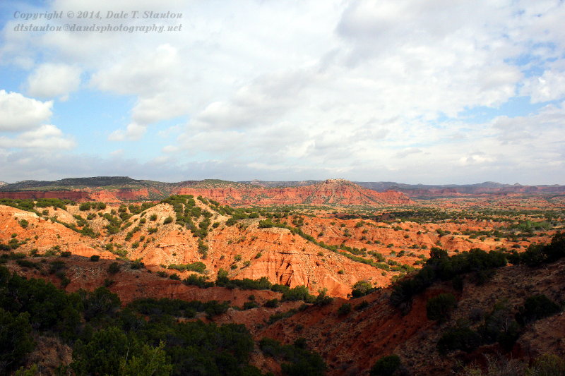 Caprock Canyons - IMG_5584.JPG