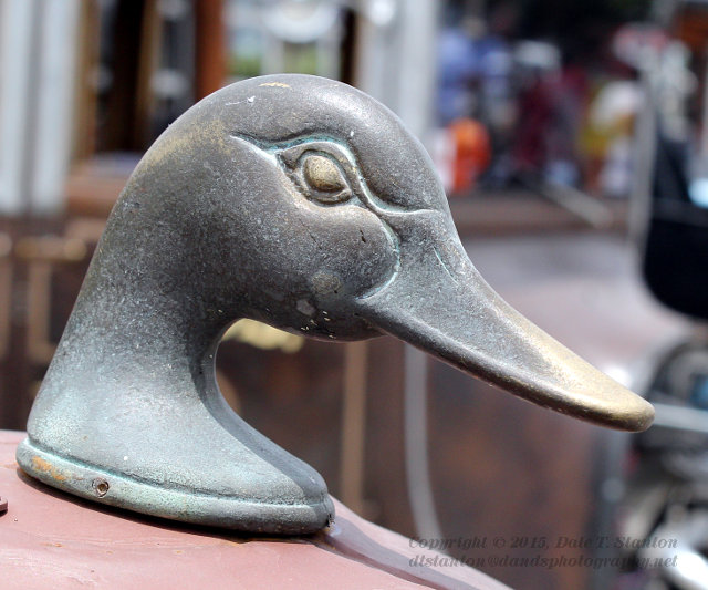 Duck Hood Ornament - IMG_9273.JPG