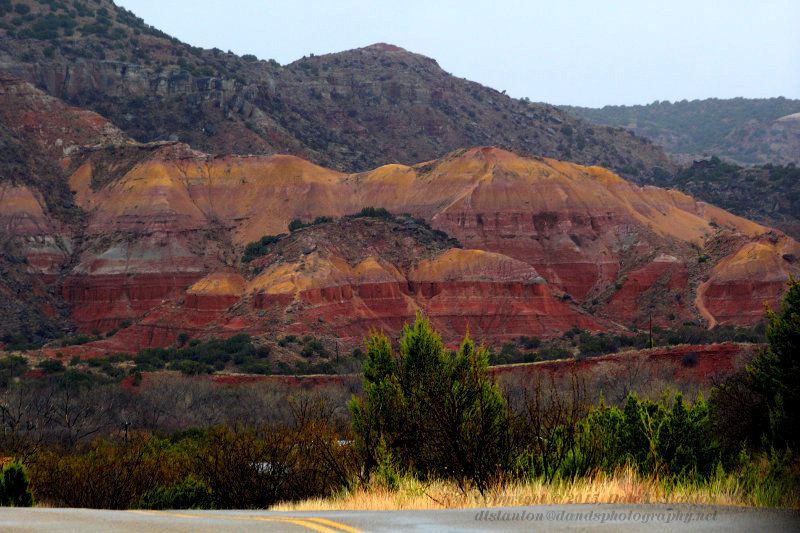 Canyon Colors - IMG_0330.JPG