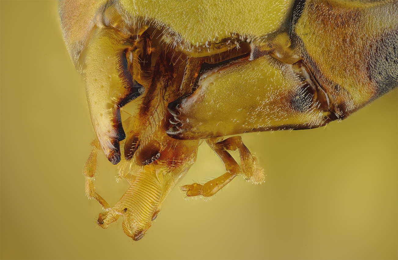 2015-10-23-08.04.42 ZS retouched.jpg