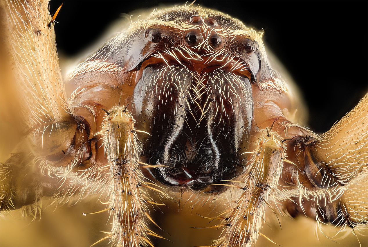 2015-10-31-14.08.51 ZS retouched.jpg