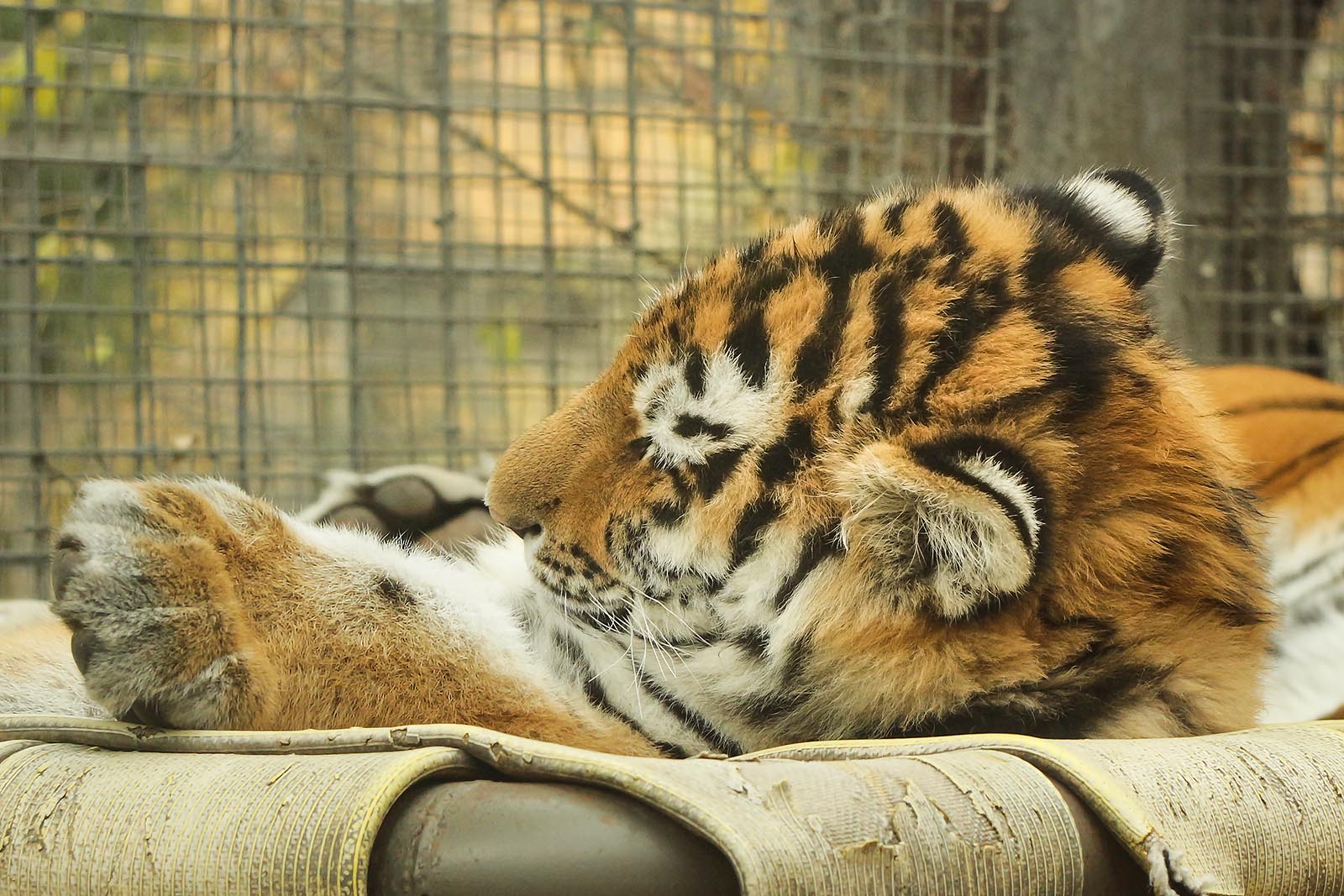 Its not time to get up yet.  Is It?
