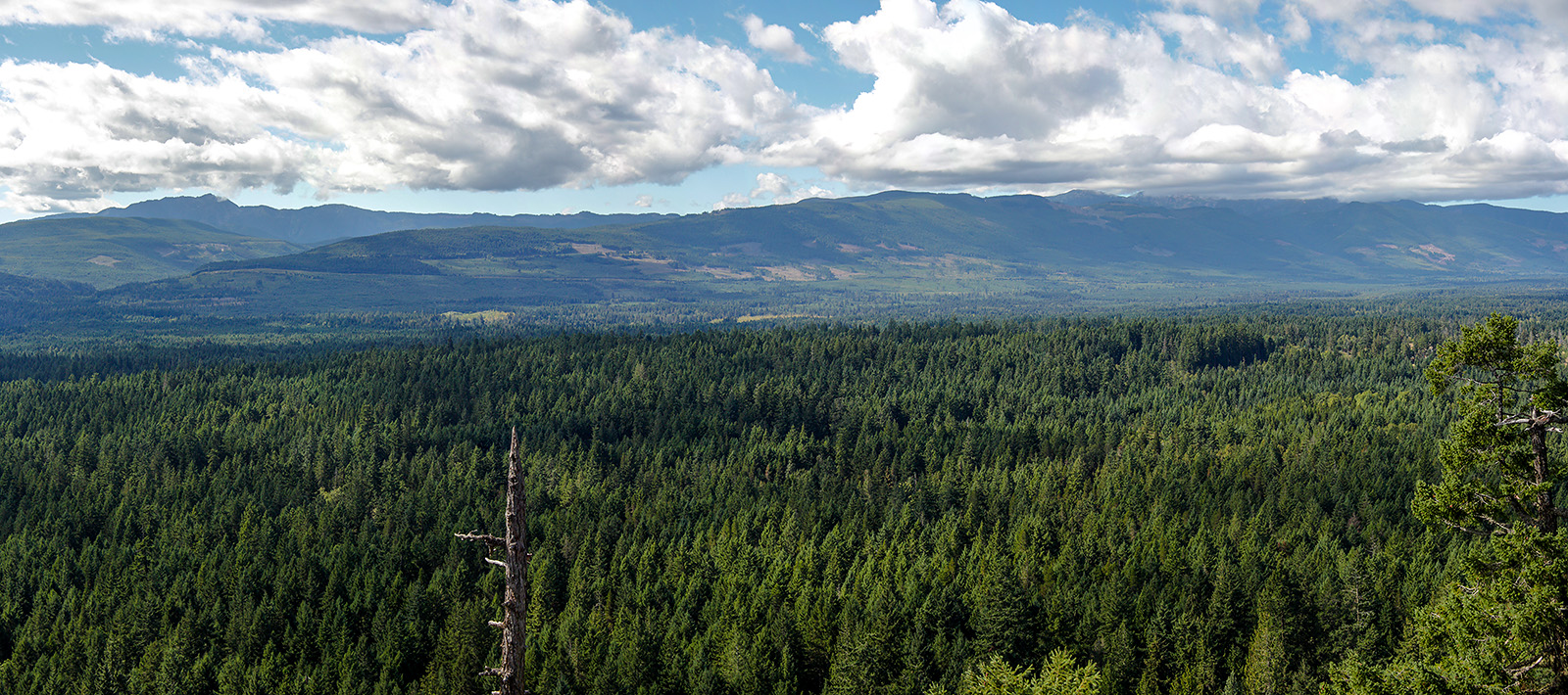 Valley south of Parksville