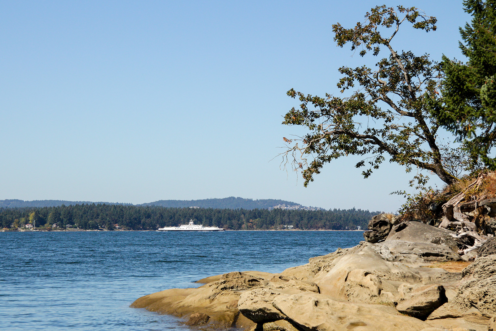 Jack Point - Biggs Park