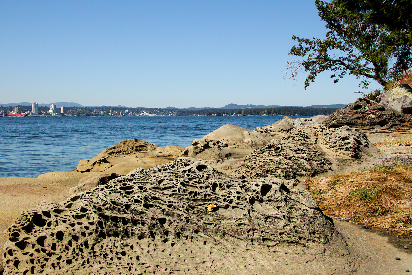 Jack Point - Biggs Park