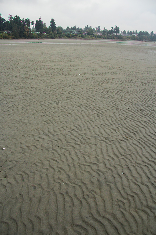 Parksville Beach at low tide