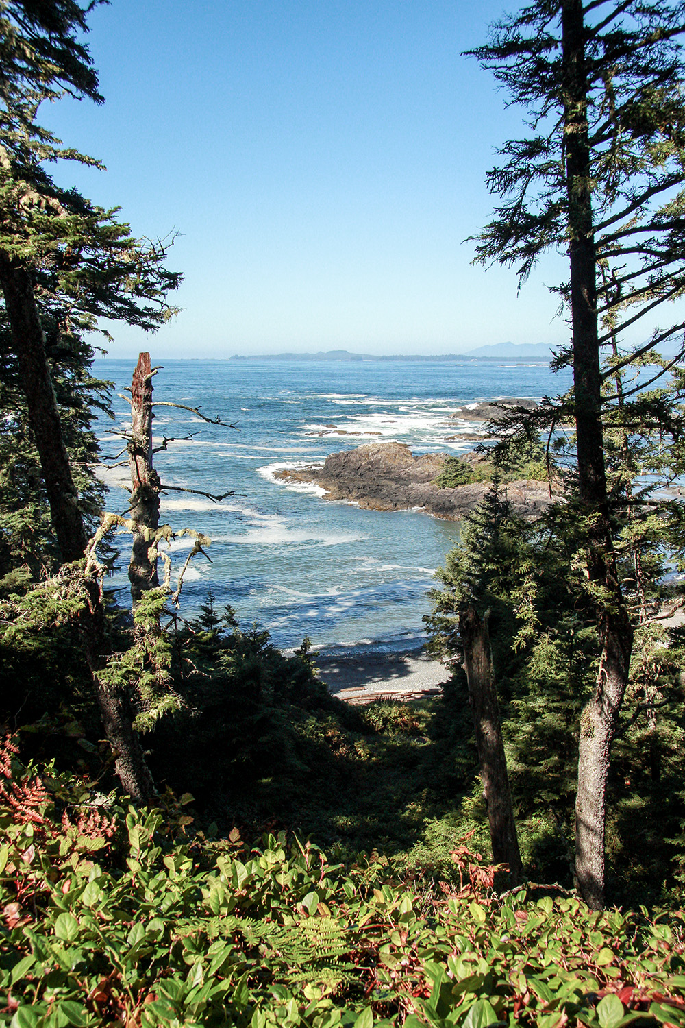 Second Bay