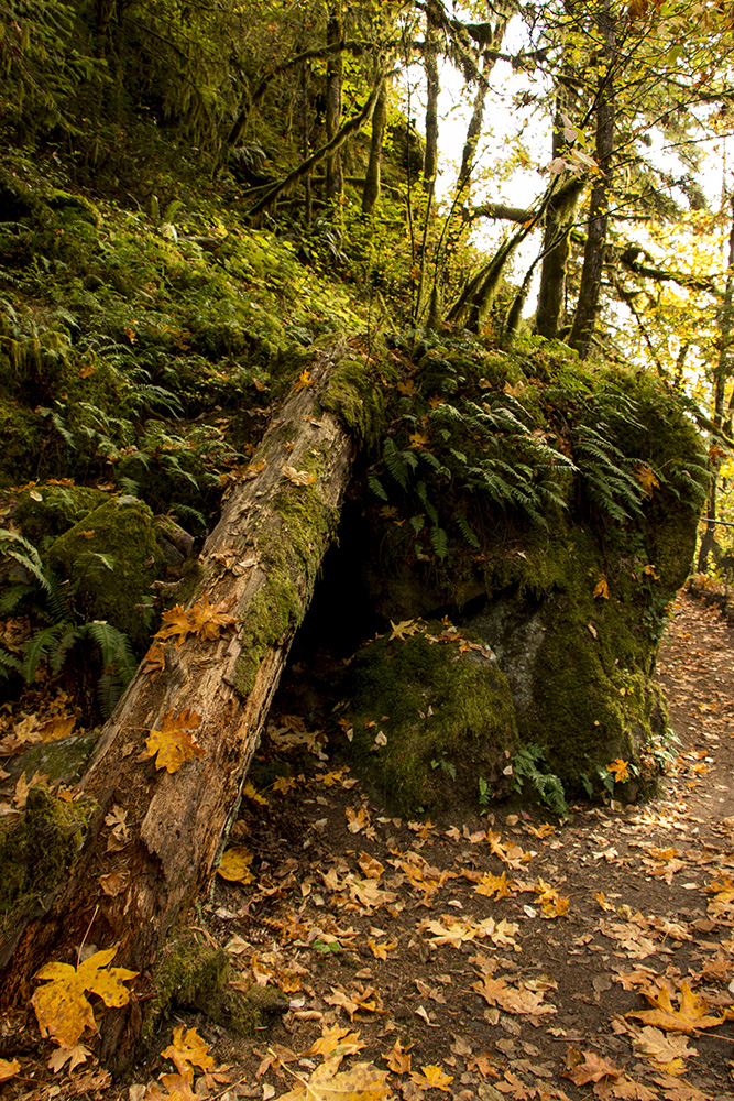 Stamp River Provincial Park
