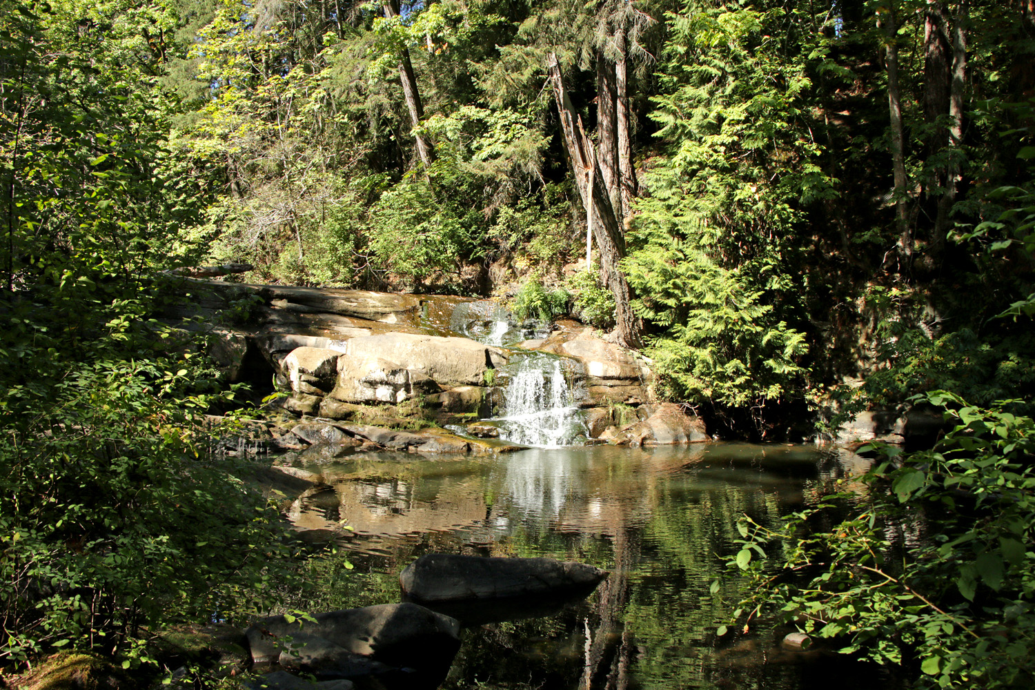 Millstone River - Bowen Park