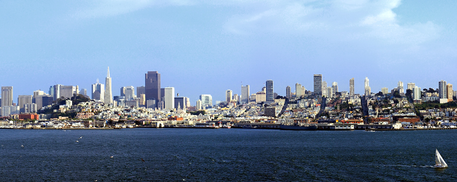 San Francisco Skyline