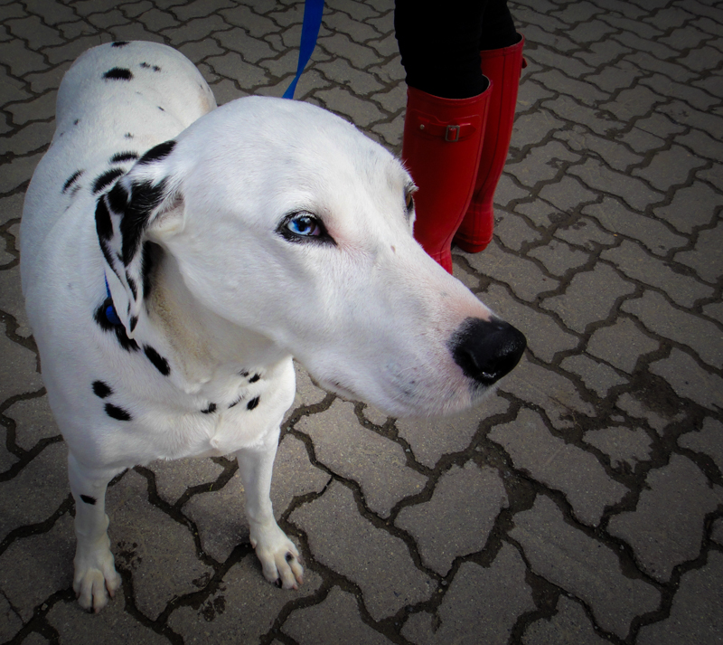 Blue eye, red boots