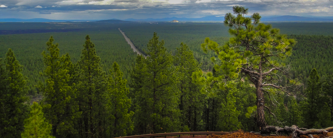 View from top of Lava Butte, Oregon