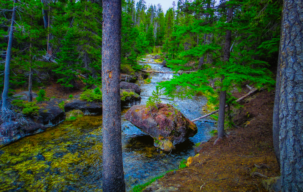Paulina Creek, near Paulina Falls, Oregon