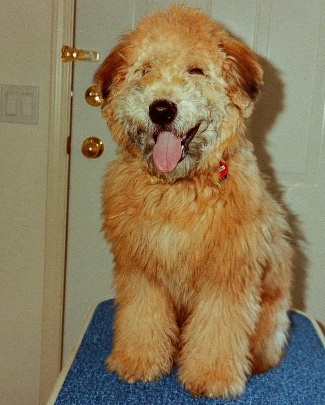 Happy baby Misty