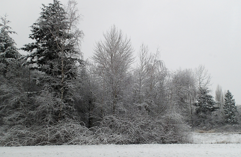 Roadside snow scene