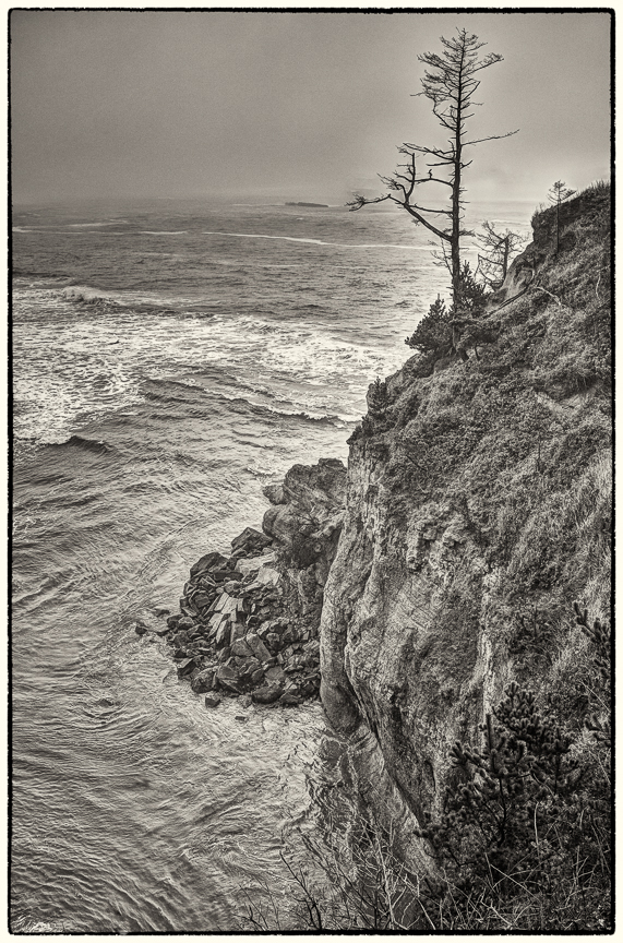 Cliff side tree