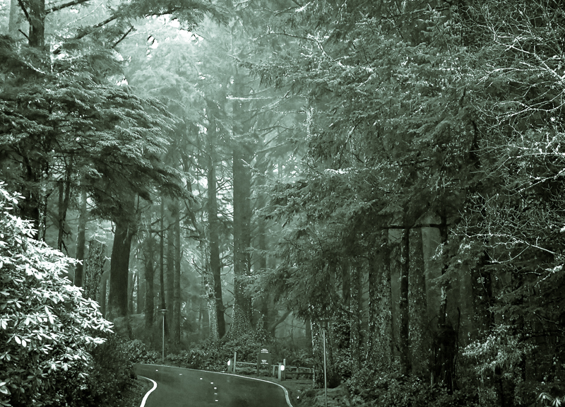 Otter Crest Inn access road