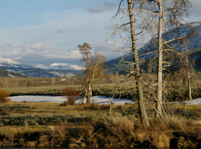 2011_0514Spring 314_800x594.JPG