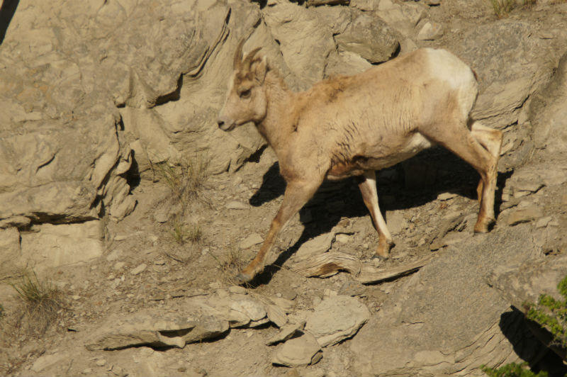 2012_0512Spring0277_800x532.JPG