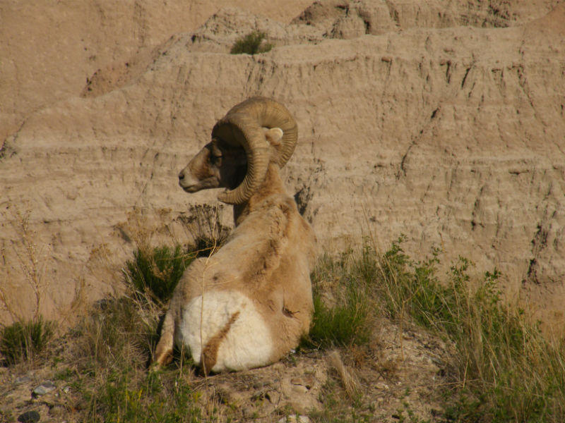 2012_0517Spring 173_800x600.JPG
